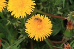 K1024_IMG_0609.1