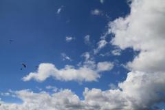 K1024_IMG_0678.1