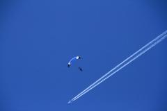 K1024_IMG_0773.1