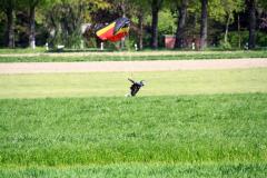 K1024_IMG_0861.1