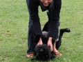 2010_08_08_01.jpg