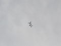 2012_08_04_24.jpg