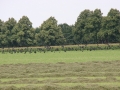 2012_08_11_01.jpg