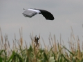 2012_08_11_13.jpg