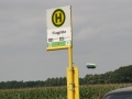 2012_08_11_16.jpg