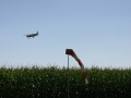 2012_08_18_35.jpg