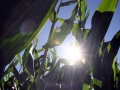 2012_08_18_37.jpg