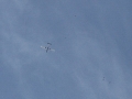 2013_08_03_38.jpg
