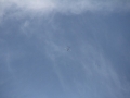 2013_08_03_39.jpg