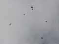 2013_08_10_14.jpg
