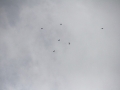 2013_08_24_29.jpg