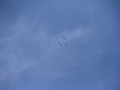 2014_08_01_32.jpg