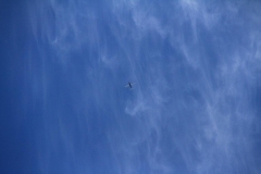 K1024_IMG_4323.1