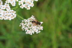 03_K1024_IMG_2793.1