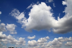 K1024_IMG_0111.1