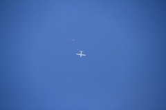 K1024_IMG_0113.1