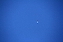 K1024_IMG_8854.1