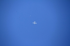 K1024_IMG_8887.1