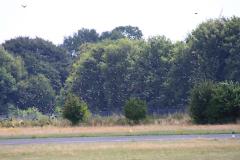 K1024_IMG_7990.1