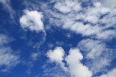K1024_IMG_8212.1