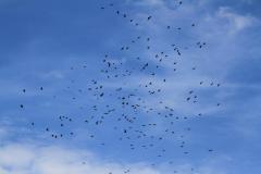 K1024_IMG_8395.1