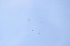 K1024_IMG_8425.1