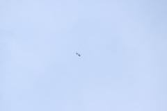 K1024_IMG_8426.1