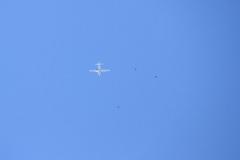 K1024_IMG_8454.1