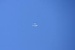 K1024_IMG_8455.1