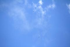 K1024_IMG_8485.1