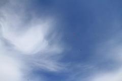 K1024_IMG_2366.1