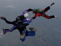 BOM_2008_047.jpg