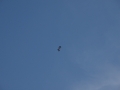 2012_09_08_080.jpg
