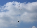 2014_09_13_38.jpg