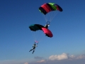 Canopy Formation_03.JPG