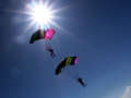 Canopy Formation_05.JPG
