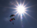 Canopy Formation_06.JPG