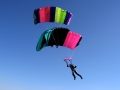 Canopy Formation_07.JPG