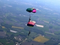 Canopy Formation_08.JPG