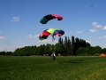 Canopy Formation_15.JPG