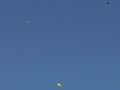 2011_12_24_10.jpg