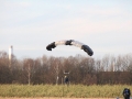 2012_12_29_34.jpg