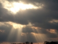 2013_12_29_27.jpg