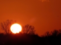 2013_12_29_33.jpg