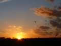 2013_12_29_34.jpg