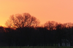 K1024_P1060728.1