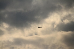 06_K1024_IMG_5766.1