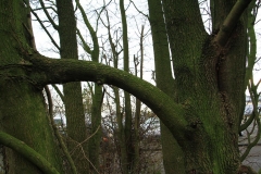 07_K1024_IMG_5767.1