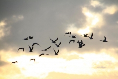09_K1024_IMG_5771.1