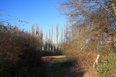 34_K1024_IMG_5648.1